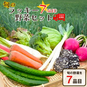 yӂ邳Ɣ[Łz10ց{̃bL[7؃Zbgi7lj@y11218-0135z@#   [J˂ [J [Js