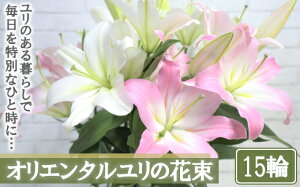 yӂ邳Ɣ[ŁzyYzIG^̉ԑy15ցz@y11218-0531z  S ԑ  蕨 v[g Mtg ʌ [Js S̑