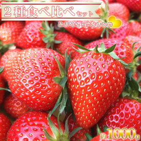 【ふるさと納税】〈先行予約〉深谷市産苺　あまりん、やよいひめ食べ比べセット（4パック入り）※2パックずつ　【11218-0661】# いちご イチゴ 深谷 深谷市 朝採れ 完熟 甘い 糖度 詰合せ 詰め合わせ 埼玉県 深谷市 木口農園