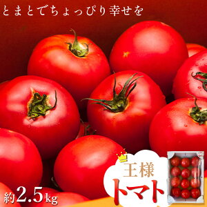 yӂ邳Ɣ[Łzlg}g@2.5kg@y11218-0713z