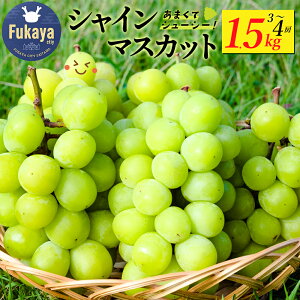 yӂ邳Ɣ[Łzys\zVC}XJbg@Iׂ邨͂eʁ1kgE1.5kgE󂠂1.5kgE2kg@y11218-0852E921`923z VC }XJbg A si t[c ʕ Ԃǂ 