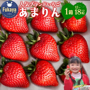 yӂ邳Ɣ[ŁzyʌzlCuhu܂v1@12܂15܂18in󋵂ɂύXj@y11218-0943z@#  [J [Js ܂ ԉ