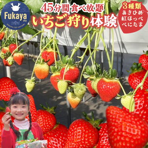 yӂ邳Ɣ[Łzyʌz3ސHהב̌il1lj@iFЂ߁Egق؁Eׂɂ܁@`Ղ45Ԃy݂܂I`@y11218-0945z@#  [J 