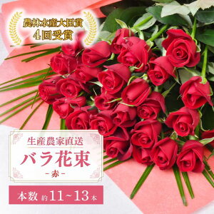 �y�ӂ邳�Ɣ[�Łz�o���̉ԑ� ��11�`13�{���z���G���A����E�����w��K�{�� ���Y�_�ƒ��� | �o�� �ԑ� �K�N �΂� ���[�Y �A�� �C���e���A �a���� �L�O�� ���j�� ��̓� ���̓� ���b�s���O�L�� 