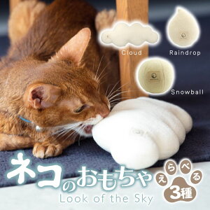 yӂ邳Ɣ[ŁzyIׂށzL̂wcloud _xwsnowball ʁxwraindrop JxI[KjbNLbgjbv 3 | ybgpi L lR ˂  ˂̂ LObY 