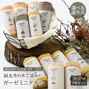 yӂ邳Ɣ[ŁzIׂ遄 BIRTH TREE TOWEL a̖؂Ő߂K[[̃~j^IZbg | ؐ THE NEWOLD WORKS K[[ ^I nJ` ӂӂ A ؐK[[ w{[ Mtg