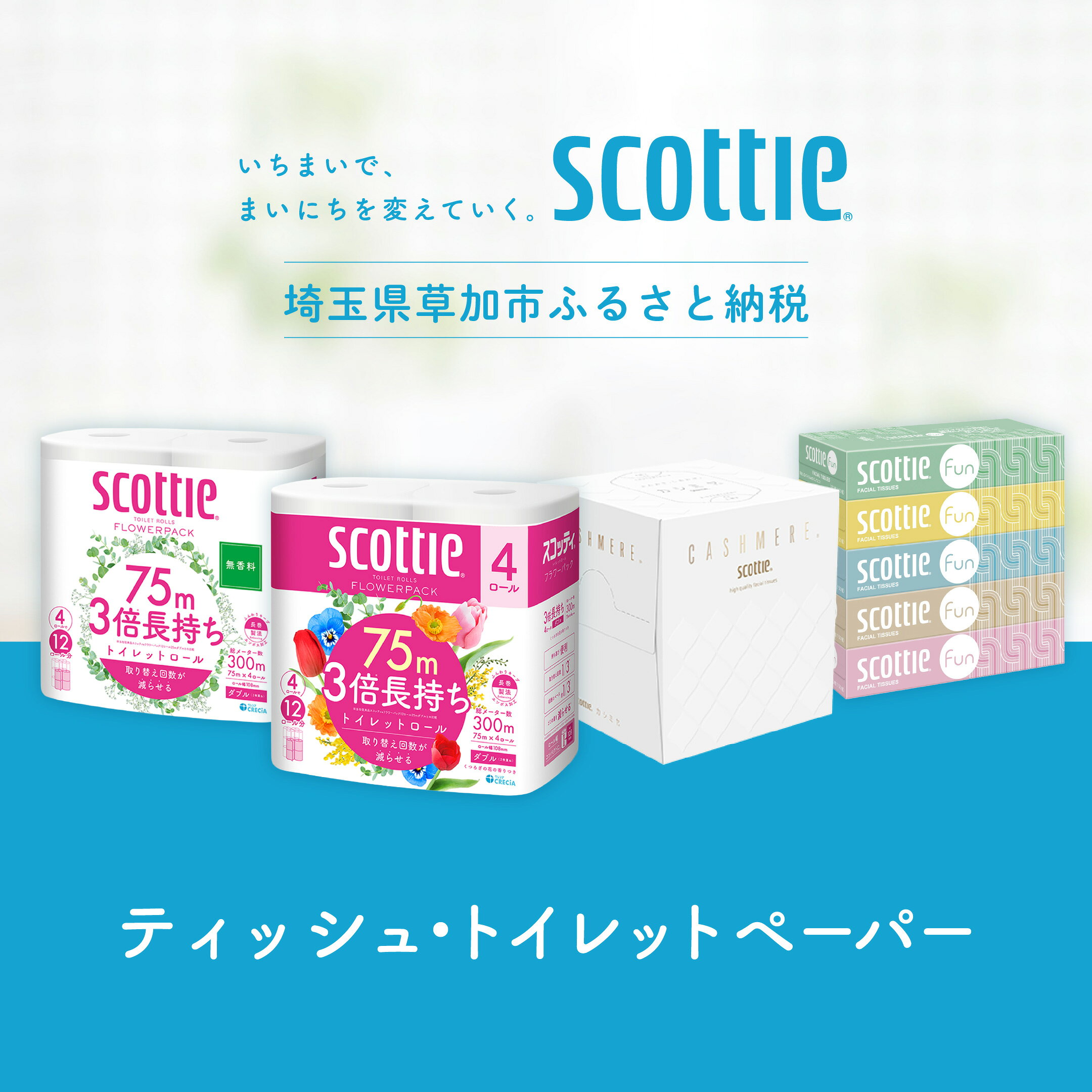 セット品・定期便始めました！クレシア スコッティ_トイレットペーパー・ティッシュ特集