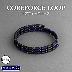 yӂ邳Ɣ[ŁzNo.108 RAtH[X[v@sXY@50cm ^ COREFORCE LOOP Ki X|[c g[jO ؃g AX[g St XCO  ̊ oX p[ _ ptH[
