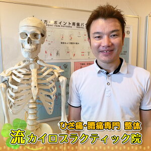 【ふるさと納税】カイロプラクティック施術1時間コース回数券6回分 / 関節 身体 筋肉 治療 送料無料 埼玉県 No.123
