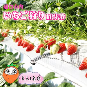 yӂ邳Ɣ[Łz zJs菵Ҍil1j ^  C`S   C`S 䕎 `Pbg p ̌ ό s Ƒ f[g t[c ʕ VN zJY ό