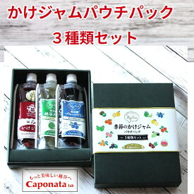 【ふるさと納税】定番のかけジャムパウチパック3種類セット ／ 掛けるジャム 新感覚 いちごジャム メロンジャム ブルーベリージャム 携帯 エコ容器 送料無料 埼玉県 No.245