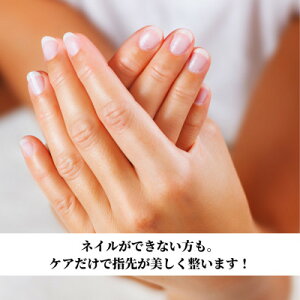 yӂ邳Ɣ[ŁzyAڂ̃j[!zԎslCTYSfactorýsnhPAt{p`Pbgy1303248z