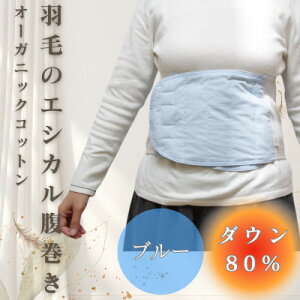 yӂ邳Ɣ[ŁzHт̃GVJ TChux[EH[}[@u[@I[KjbNRbgy1590062z