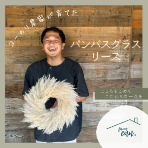 yӂ邳Ɣ[Łzy[J_ƂĂzppXOX̃i`[X@hCt[y1670619z