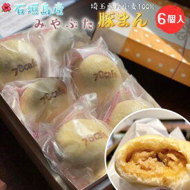 【ふるさと納税】豚まん 6個 セット 石垣島産みやぶた使用 冷凍 化学調味料無添加 保存料無添加 乳製品不使用 卵不使用 ジューシー 肉まん 冷凍 国産 惣菜 中華 点心 おやつ 夜食 プレゼント 差し入れ お土産