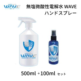 【ふるさと納税】無塩微酸性電解水 WAVE ハンドスプレー 500ml + 100ml セット 除菌 消臭 スプレー