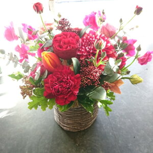 �y�ӂ邳�Ɣ[�Łz�G�߂̂������߃t�����[�A�����W�����g