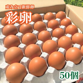 【ふるさと納税】井原養鶏の産みたて新鮮卵 50個