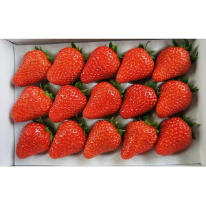 yӂ邳Ɣ[ŁzƂ肩Ƃ̂@gق؁@ʕށEE䕁EC`S@͂F2026N1{`3{܂