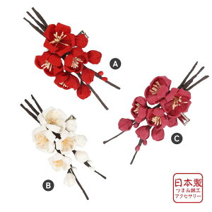 yӂ邳Ɣ[ŁzRT[W  ܂ݍ׍H TC-035@ANZT[  tH[} Ǝ  w   \ VN    as ʌ