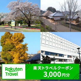 【ふるさと納税】埼玉県和光市の対象施設で使える 楽天トラベルクーポン 寄付額10,000円　和光 埼玉 宿泊 宿泊券 ホテル 旅館 旅行 旅行券 観光 トラベル チケット 旅 宿 券
