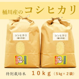 【ふるさと納税】小島農園の特別栽培米　桶川産コシヒカリ　5kg×2袋【1357476】