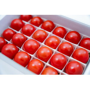 yӂ邳Ɣ[ŁzylCMtgzɊÍxt[cg}gu|EbTv@24Mtg{bNXyzsnFEkCEꌧEBzy1616590z