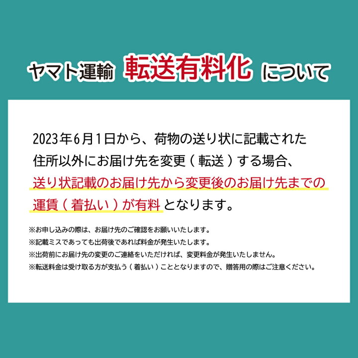 楽天市場】【ふるさと納税】プラストゥモロー モイスト シャンプー×1 