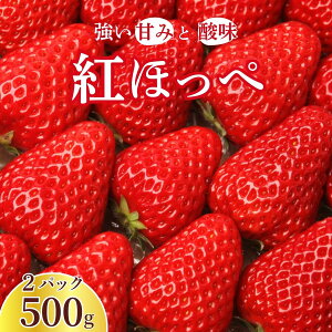 yӂ邳Ɣ[Łz gق 250g×2pbN v500g b  C`S  Xgx[ x[ Gߌ ʕ  t[c    Â ق̂Ȏ_ fU[g XC[