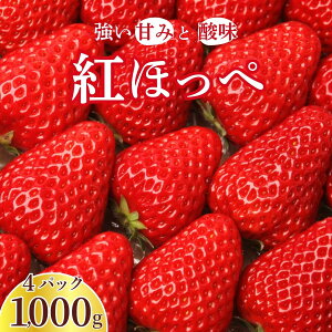 yӂ邳Ɣ[Łz gق 250g×4pbN v1000g b  C`S  Xgx[ x[ Gߌ ʕ  t[c    Â ق̂Ȏ_ fU[g XC