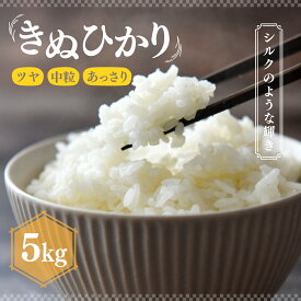 【ふるさと納税】米 R7年産 きぬひかり 5kg 2週間以内発送 | 米 お米 白米 精米 ごはん ご飯 特産米 ブランド米 穀物 農産物 主食 地元産 和食 安全 安心 ギフト 贈り物 おいしい こめ おこめ 国産 白飯 おかのこファーム 久喜市 埼玉県