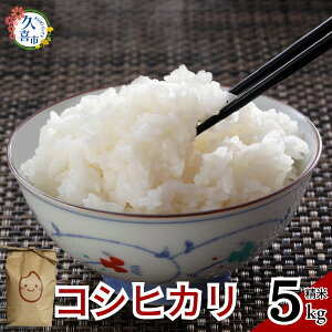 yӂ邳Ɣ[Łzy2TԈȓzV RVqJ 5kg×1 v5kg | ʌ vs   R Y uh   ͂ H N wV[ aH S S N Mtg 蕨 