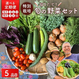 【ふるさと納税】【選べる定期】【5品目】特別栽培 たかしま農園 採れたて 旬の野菜セット | 野菜 やさい 生野菜 おまかせ 詰め合わせ 無農薬 新鮮 季節 旬 食材 地元産 有機野菜 有機農業 農家 食育 健康 お取り寄せ 埼玉県 久喜市