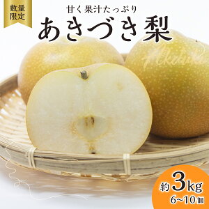 yӂ邳Ɣ[Łzy2025Ns\ ʌz Â 3kg 6ʁ`10 |  t[c  Yn i 蕨 VN  fU[g Mtg Â ʕ Â  Ȃ ʕ t