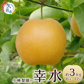 【ふるさと納税】梨 幸水 約3kg 6玉～12玉 先行予約 数量限定｜ 人気 夏 梨 みずみずしい 農家直送 フルーツ 甘い 限定 果物 果樹 直売 埼玉県 久喜市 小林梨園