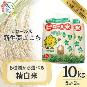 yӂ邳Ɣ[ŁzyR7NYz ܂ ă}CX^[ II Iׂ镪Â ʌY s[ V10kg | V   ͂  Hi H H h{Lx i R͔| 