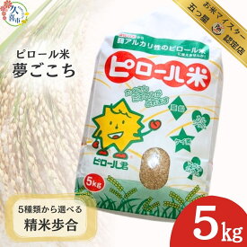 【ふるさと納税】米 5kg R7年産 選べる分つき | 米 お米 ごはん お米マイスター 美味しい 食品 食材 栄養豊富 高品質 自然栽培 ミネラル 子ども お年寄り 白米 玄米 分づき 精米 3分つき 5分つき 7分つき 久喜市 埼玉県 但木米店 ピロール米 夢ごこち 自然栽培