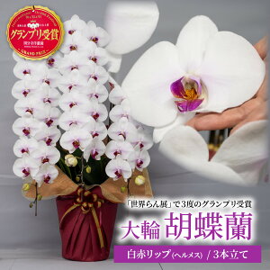 yӂ邳Ɣ[ŁzӒ IׂJ[3{ |   ֌Ӓ 傤 R`E  m  ?   JXj Mtg 蕨 v[g j j JƏj c Vz
