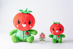 yӂ邳Ɣ[ŁzƂ܂ ʂ  ANX^hZbg 6000~ 10000~ | ʂ ANX^h }XRbg n ANX^ L 1~ nLN^[  