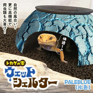 yӂ邳Ɣ[Łz঒ EFbgVF^[ IׂJ[ | Ip ঒ޗp VF^[ gJQ̉  gJQ Ip[hQbR[ tgAS C ybgpi JG wr ybg  