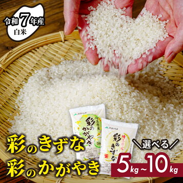 楽天市場】埼玉産 彩のかがやき 令和7年産 10kg(5kgx2)※北海道・九州 