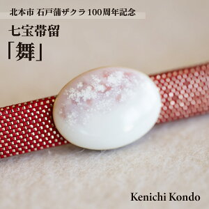 yӂ邳Ɣ[Łzїuv ΌˊUN100NLO Kenichi Kondo | ʌ k{s  Ă  ї  ANZT[ a a Mtg i Â     I