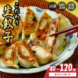【ふるさと納税】餃子 冷凍 40〜120個 選べる味 | ぎょうざ 大容量 大量 少量 ギョウザ 4000円 10000円 1万円 おいしい 美味しい 食べ比べ ギョーザ ぎょーざ gyoza 中華 惣菜 簡単調理 手軽 国産野菜 北本フーズ 埼玉県 北本市