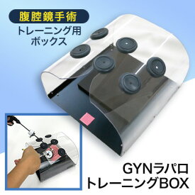 【ふるさと納税】腹腔鏡手術トレーニング用ボックス「GYNラパロトレーニングBOX」【1406077】