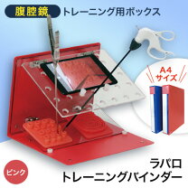 楽天市場】腹腔鏡 練習の通販
