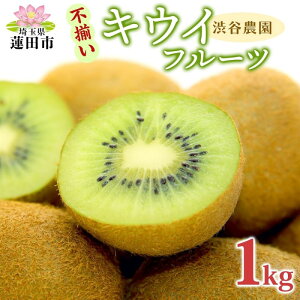 yӂ邳Ɣ[ŁzaJ_ LECt[c(O[) s 1kgȏ 󂠂 LEC O[LEC t[c h{ r^~C H@ yf JE t_ r^~E J[ ʎ ʕ 