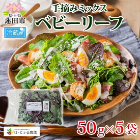 【ふるさと納税】手摘み ミックスベビーリーフ 50g 5袋 ベビーリーフ 野菜 ヤサイ 旬の野菜 葉物野菜 生野菜 ハーブ 緑 彩り 柔らかい 手軽 サラダ サンドイッチ トッピング アクセント はーとふる農園 国産 冷蔵 送料無料 蓮田市 埼玉県