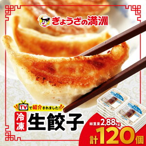 【ふるさと納税】冷凍生餃子10パック(120個) ぎょうざの満洲_ 餃子 ぎょうざ ギョウザ ギョーザ 冷凍 生餃子 生 タレ ぎょうざの満州 満州 おつまみ おかず 人気 おすすめ 中華 惣菜 焼き餃子