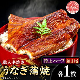 【ふるさと納税】こだわりの柔らかうなぎ蒲焼【特上ハーフ・並】各1枚 - やわらか ふわとろ 湯煎 簡単 老舗の味 うなぎ 1尾 ハーフ 各1枚 蒲焼き 特上 秘伝 タレ おすすめ 白米 相性 抜群 とろける 柔らかさ オススメ 埼玉県 幸手市
