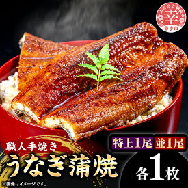 【ふるさと納税】こだわりの柔らかうなぎ蒲焼【特上・並】各1枚- やわらか ふわとろ 湯煎 簡単 老舗の味 うなぎ 1尾 肉厚 各1枚 蒲焼き 特上 秘伝 タレ おすすめ 白米 相性 抜群 とろける 柔らかさ オススメ 埼玉県 幸手市